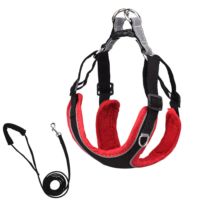 Luxurious Suede Pet Harness Vest with Matching Leash