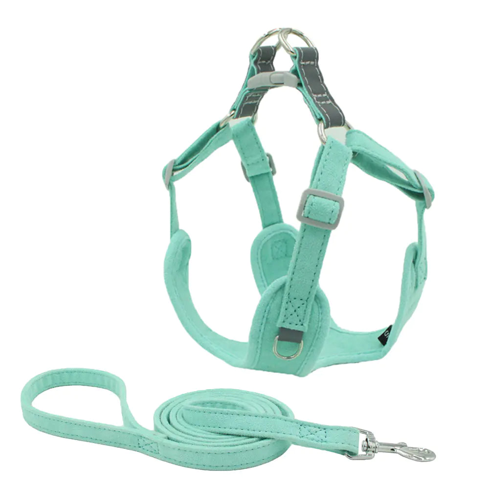 Luxurious Suede Pet Harness Vest with Matching Leash