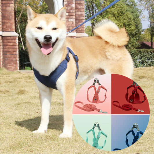 Luxurious Suede Pet Harness Vest with Matching Leash