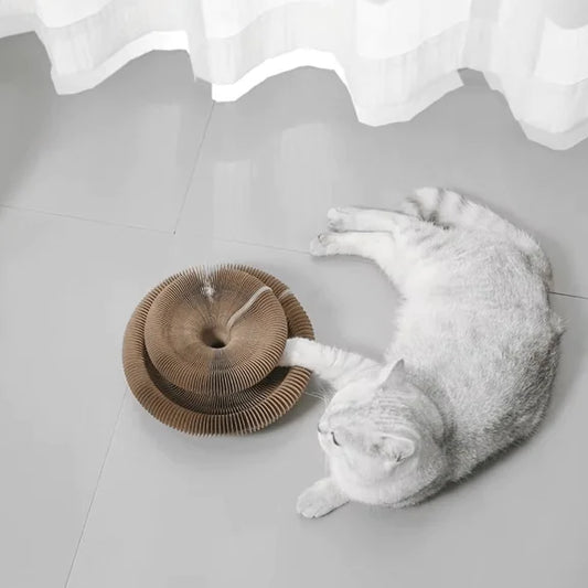 Accordion Cat Scratch Board Toy